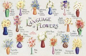 language of flowers, courtesy of Alain Mermier