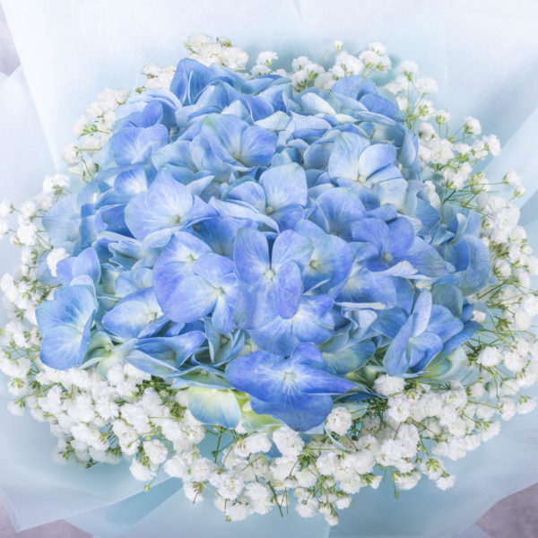 Hydrangea Bouquet by Farmflorist Close-up