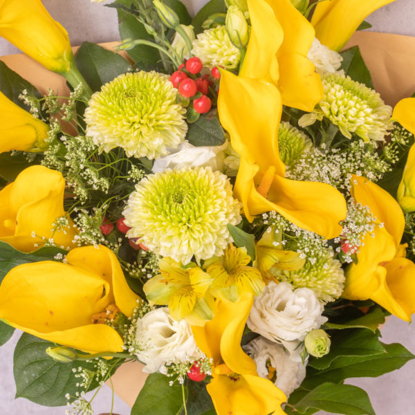 Laporte by farmflorist 3