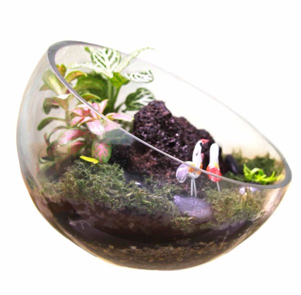 Aalborg Ready Made Terrarium
