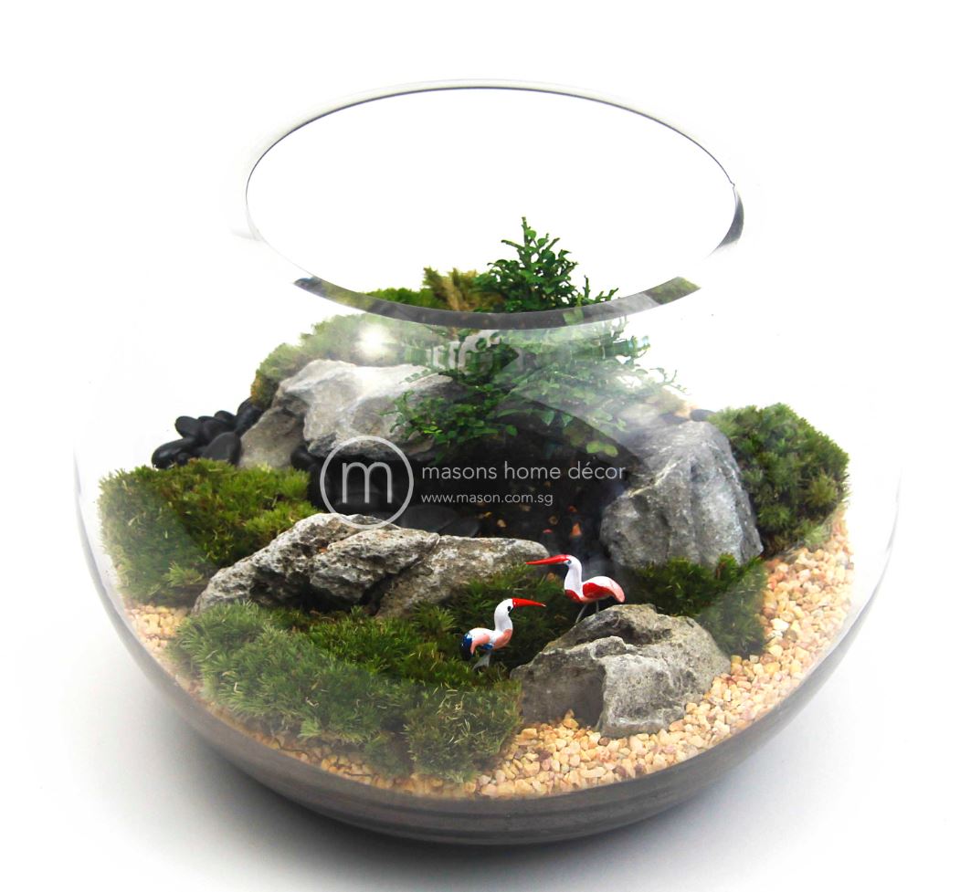 Bultnik Ready Made Terrarium Flower Delivery Singapore Florist