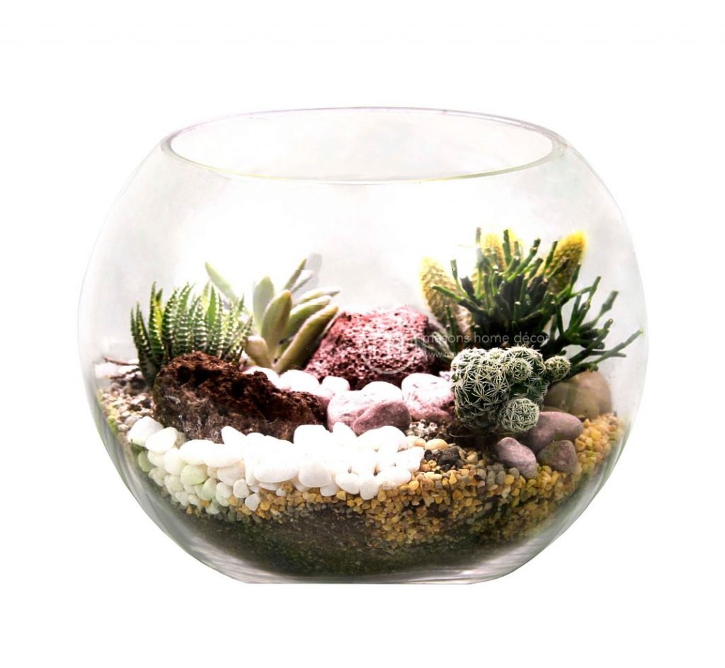 Burligio Ready Made Terrarium Flower Delivery Singapore Florist