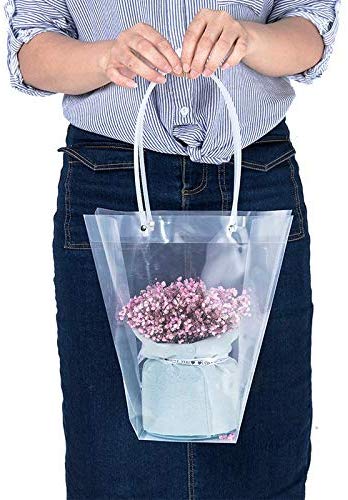 Clear Tote Carrier Bag